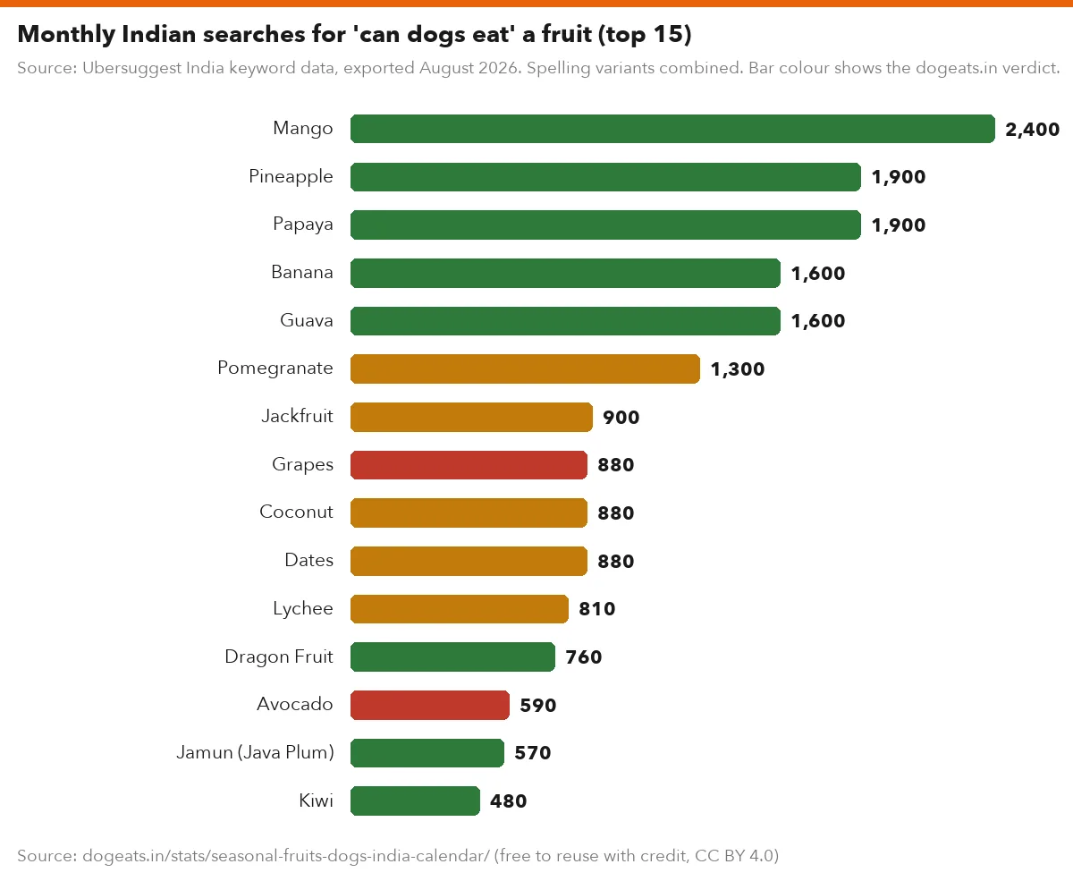 Monthly Indian searches for 'can dogs eat' a fruit (top 15)