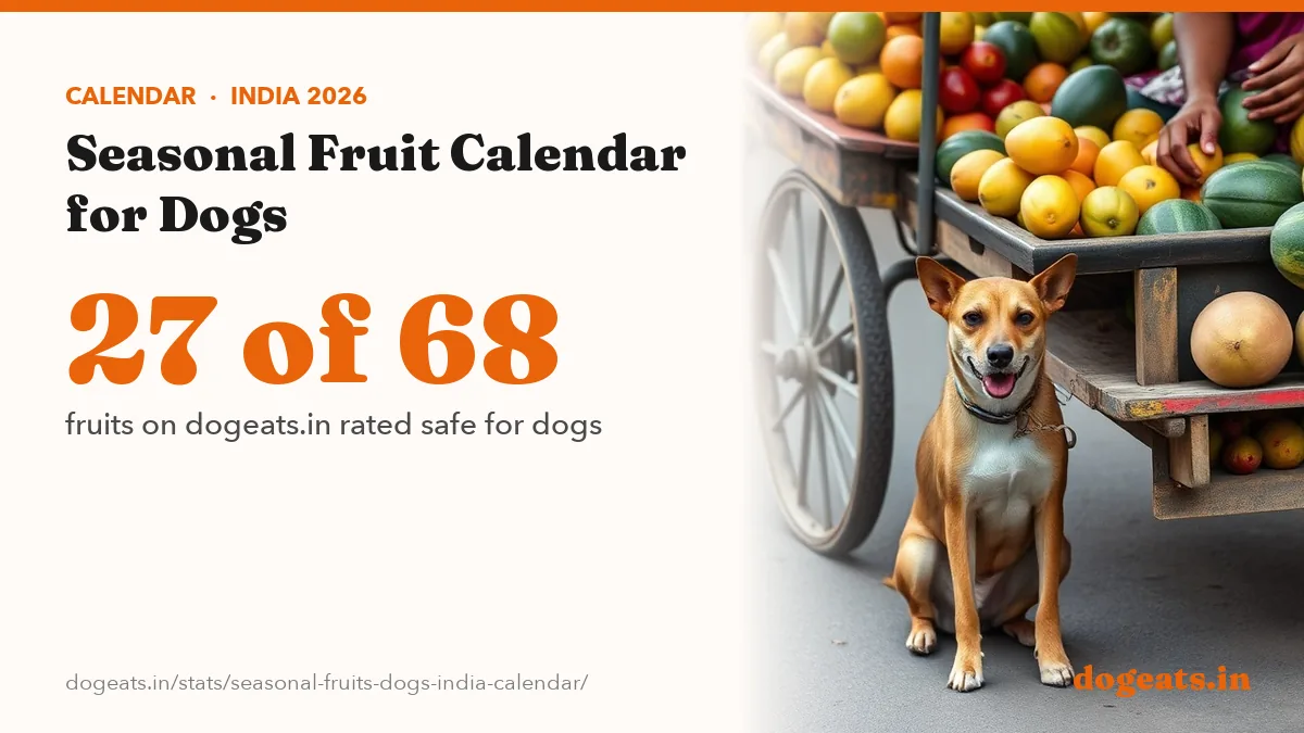 27 of 68 fruits on dogeats.in rated safe for dogs