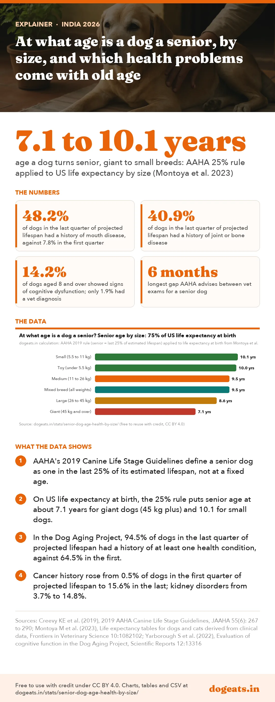 Infographic: At what age is a dog a senior, by size, and which health problems come with old age