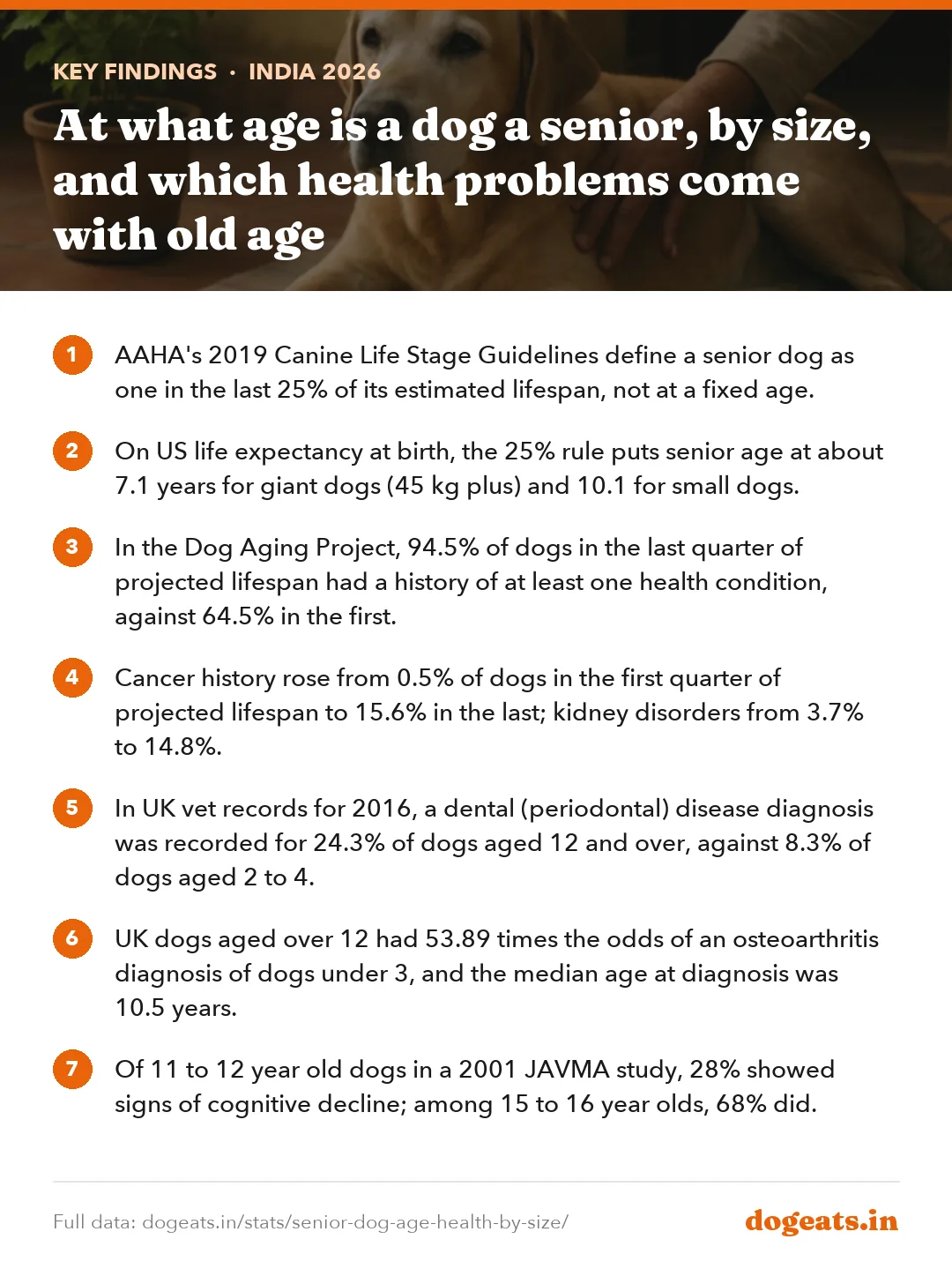 Key findings: At what age is a dog a senior, by size, and which health problems come with old age