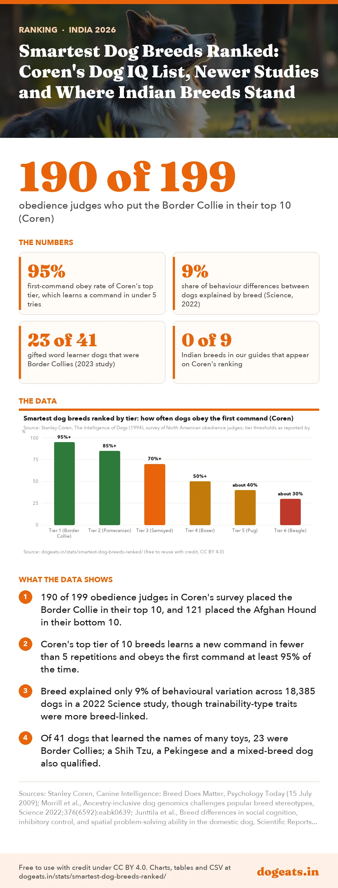 Infographic: Smartest Dog Breeds Ranked: Coren's Dog IQ List, Newer Studies and Where Indian Breeds Stand