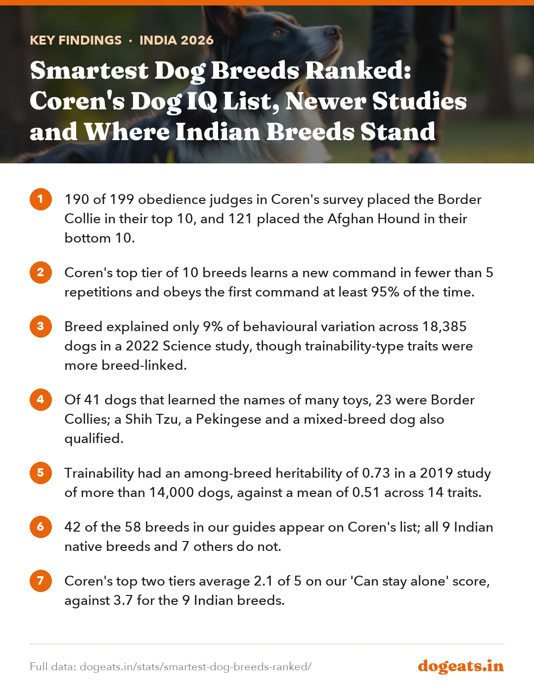 Key findings: Smartest Dog Breeds Ranked: Coren's Dog IQ List, Newer Studies and Where Indian Breeds Stand
