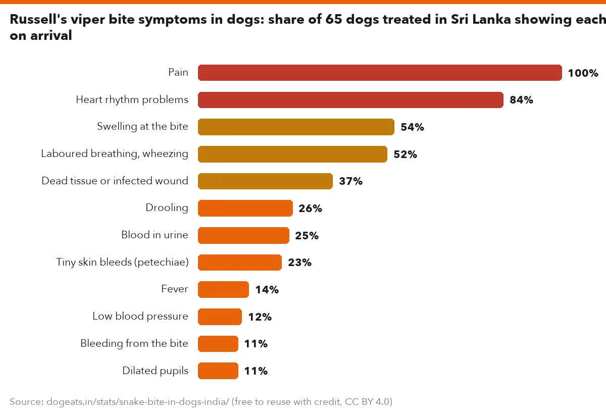 Russell's viper bite symptoms in dogs: share of 65 dogs treated in Sri Lanka showing each sign on arrival