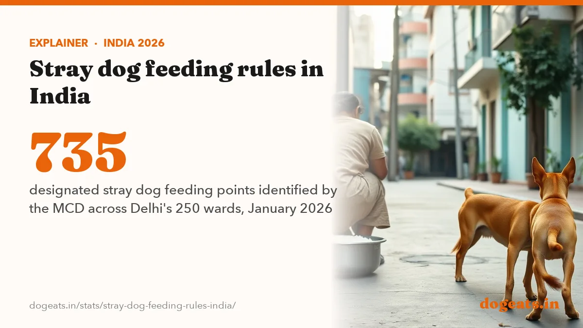 735 designated stray dog feeding points identified by the MCD across Delhi's 250 wards, January 2026