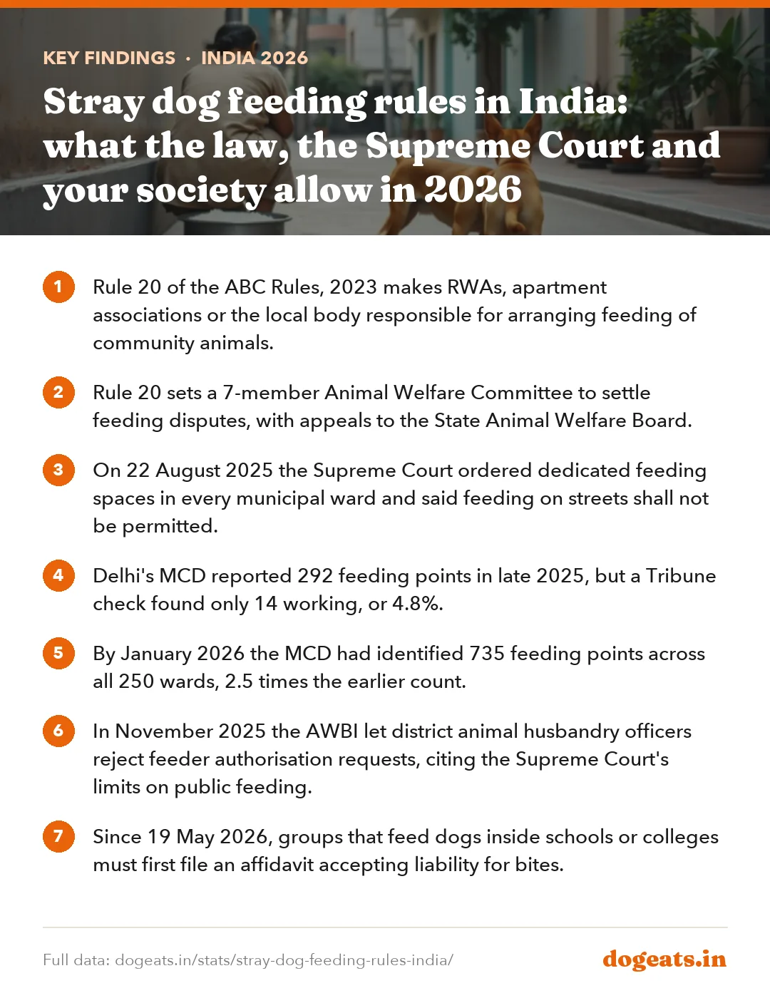 Key findings: Stray dog feeding rules in India: what the law, the Supreme Court and your society allow in 2026
