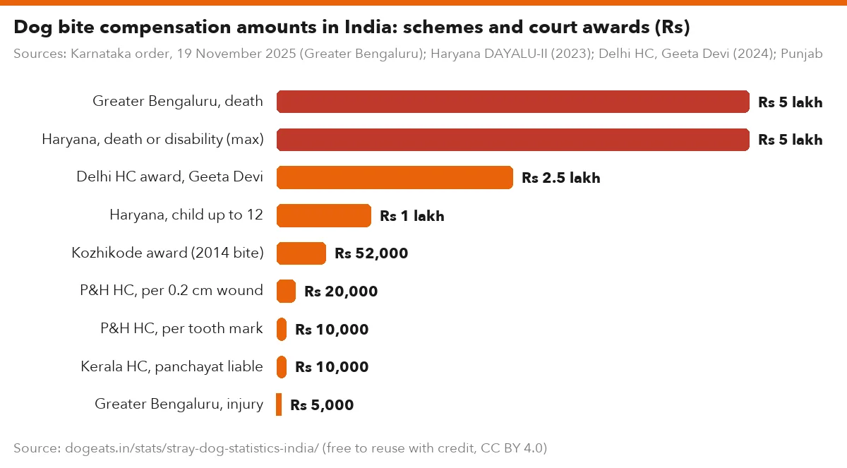 Dog bite compensation amounts in India: schemes and court awards (Rs)