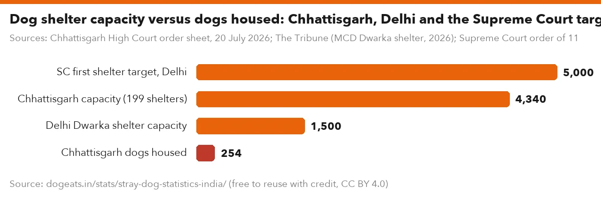 Dog shelter capacity versus dogs housed: Chhattisgarh, Delhi and the Supreme Court target
