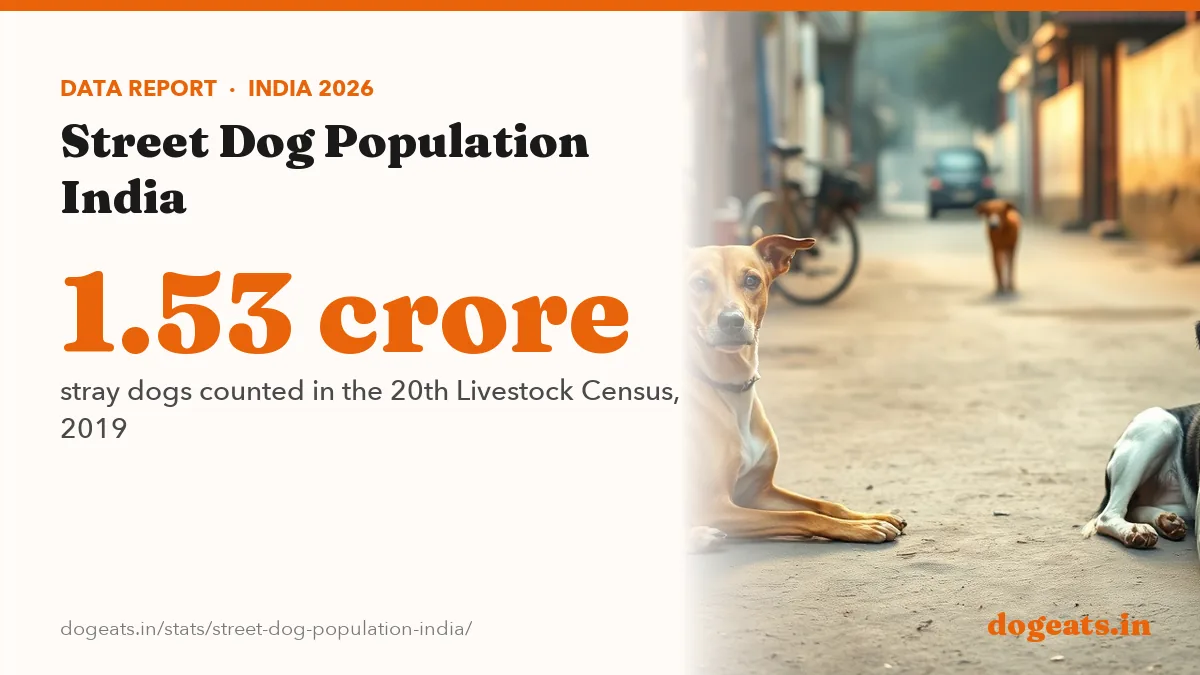 1.53 crore stray dogs counted in the 20th Livestock Census, 2019