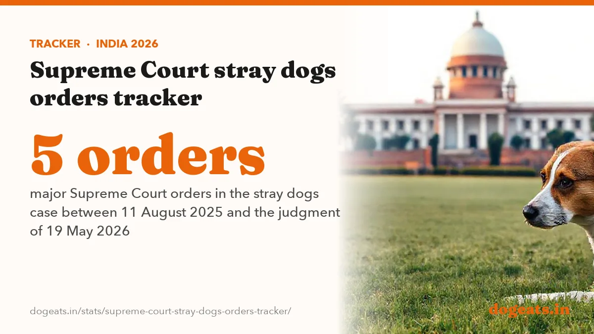 5 orders major Supreme Court orders in the stray dogs case between 11 August 2025 and the judgment of 19 May 2026