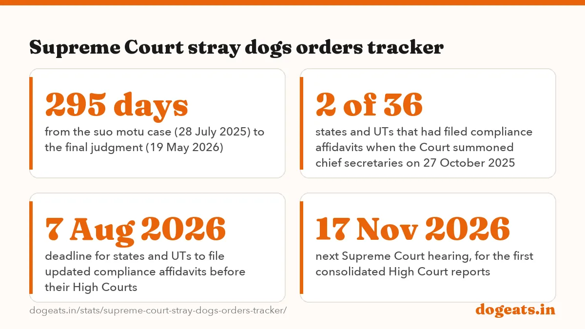 Supreme Court stray dogs orders tracker: the numbers