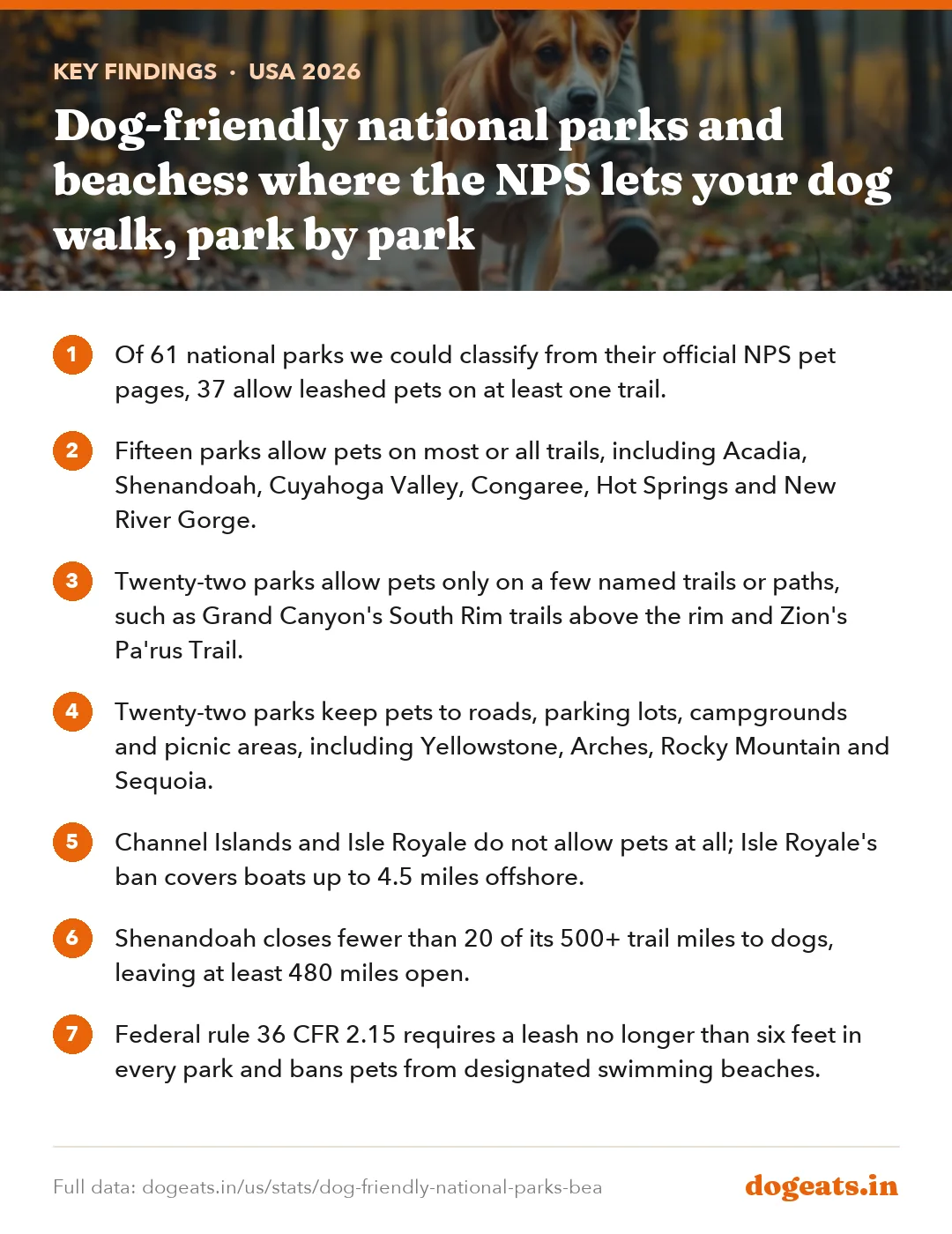Key findings: Dog-friendly national parks and beaches: where the NPS lets your dog walk, park by park