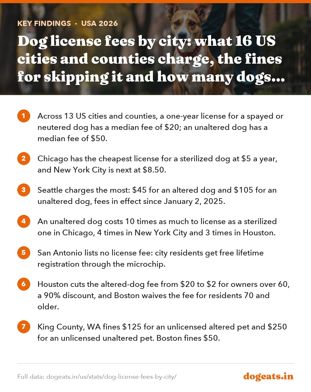 Key findings: Dog license fees by city: what 16 US cities and counties charge, the fines for skipping it and how many dogs are licensed