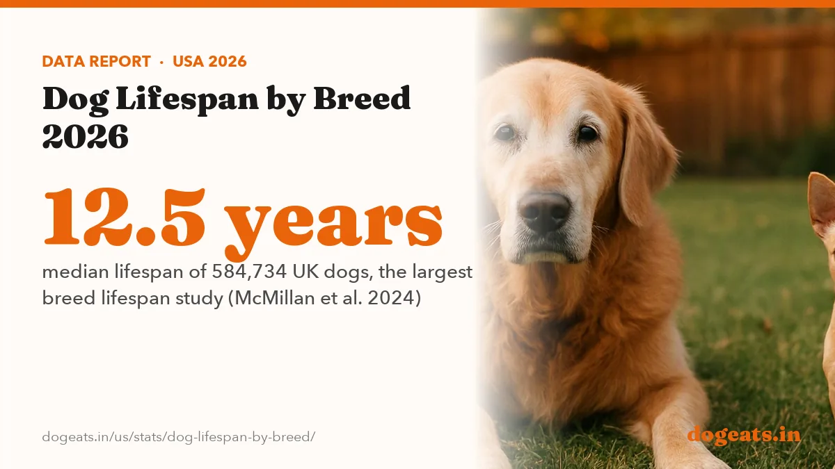 12.5 years median lifespan of 584,734 UK dogs, the largest breed lifespan study (McMillan et al. 2024)