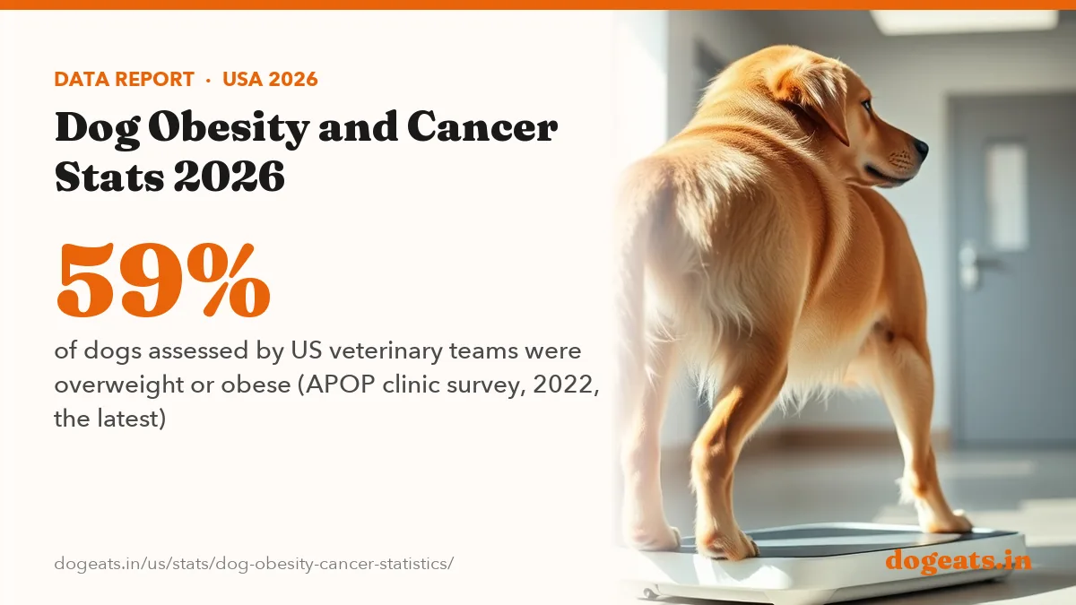 59% of dogs assessed by US veterinary teams were overweight or obese (APOP clinic survey, 2022, the latest)