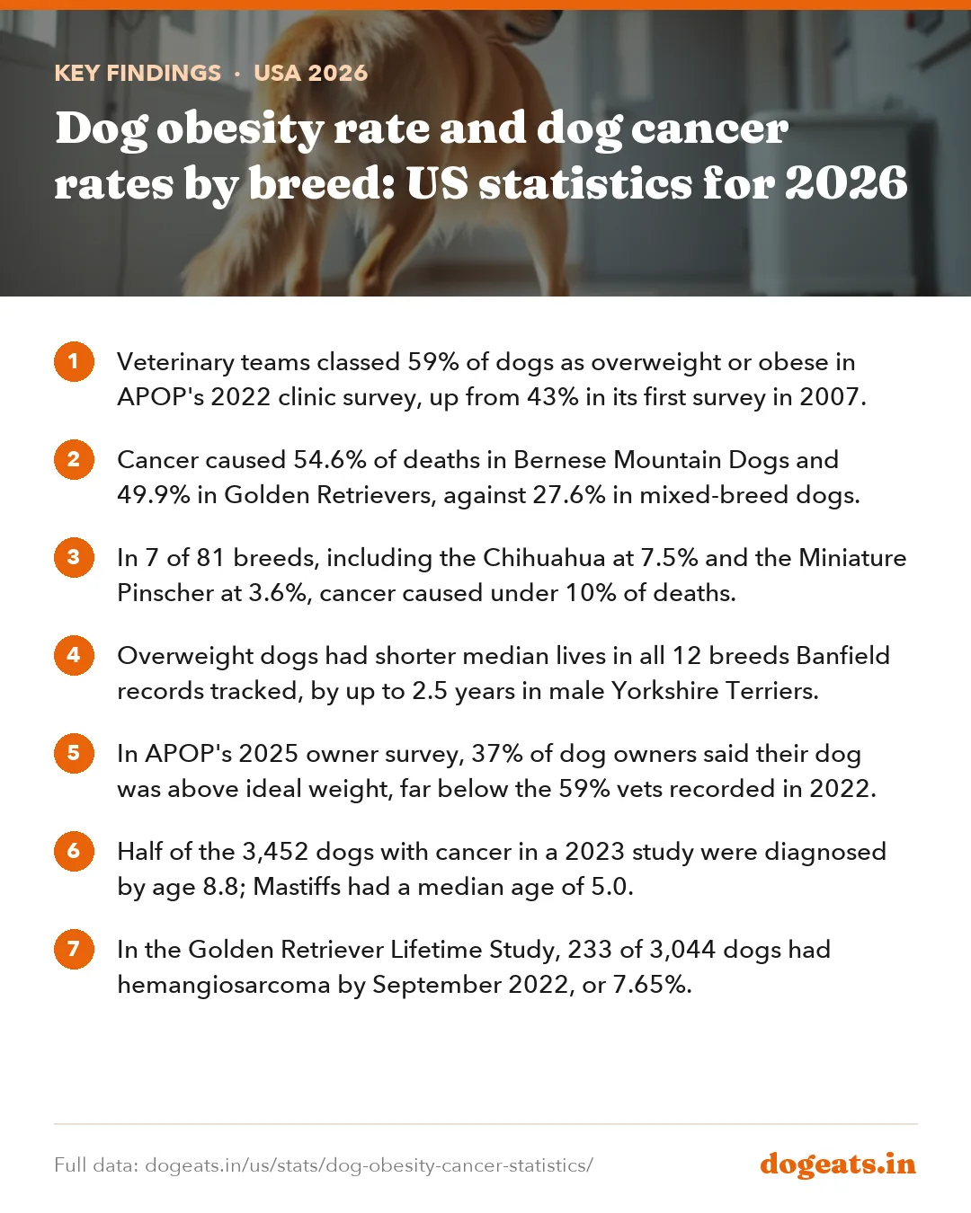 Key findings: Dog obesity rate and dog cancer rates by breed: US statistics for 2026