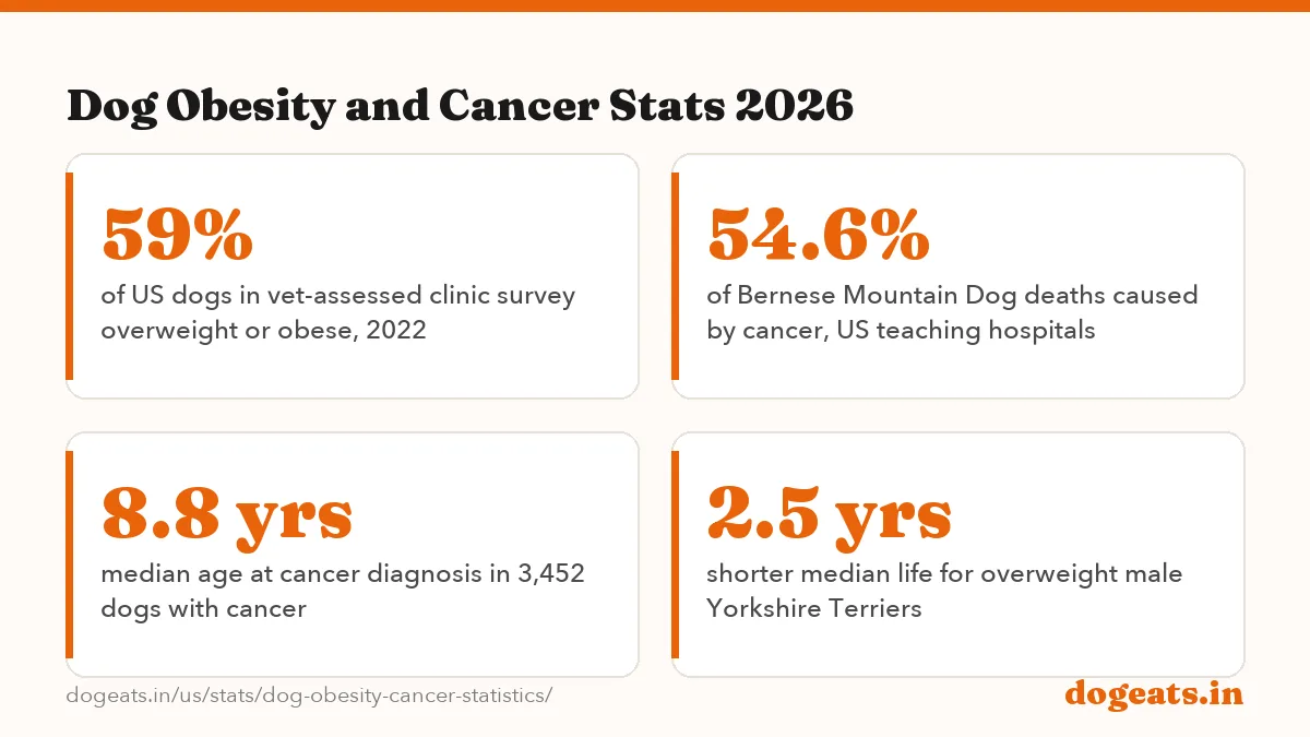 Dog Obesity and Cancer Stats 2026: 59% of dogs assessed by US veterinary teams were overweight or obese (APOP clinic survey, 2022,