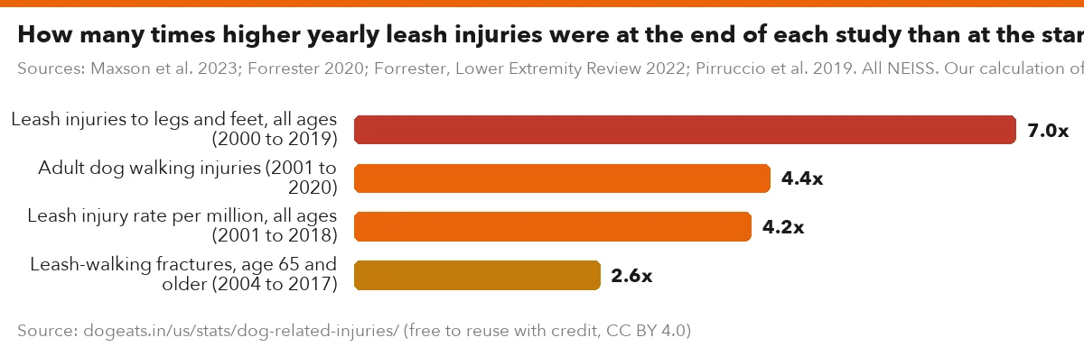 How many times higher yearly leash injuries were at the end of each study than at the start