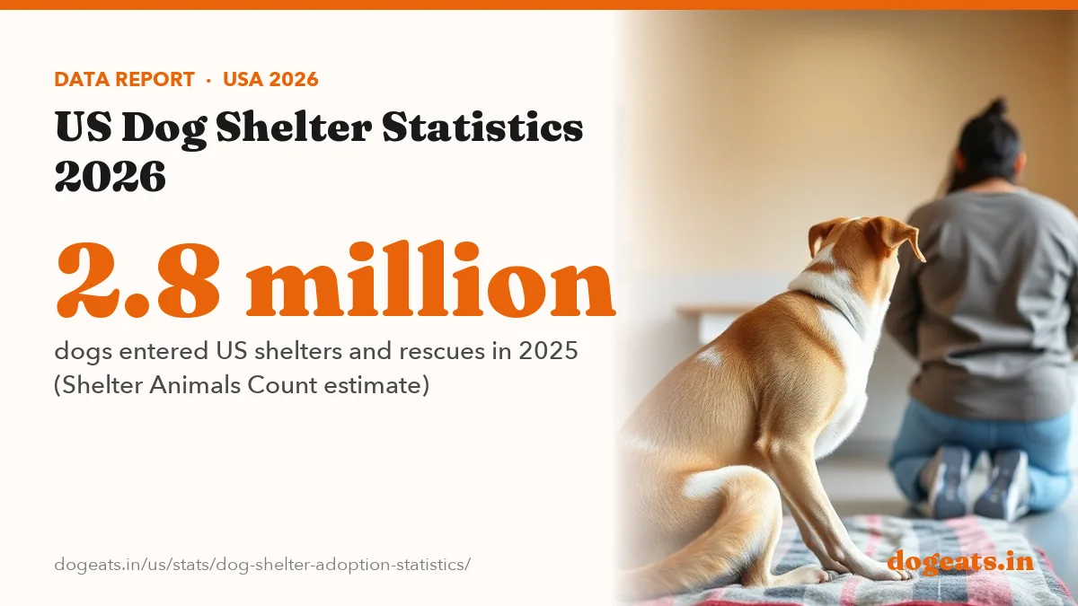2.8 million dogs entered US shelters and rescues in 2025 (Shelter Animals Count estimate)