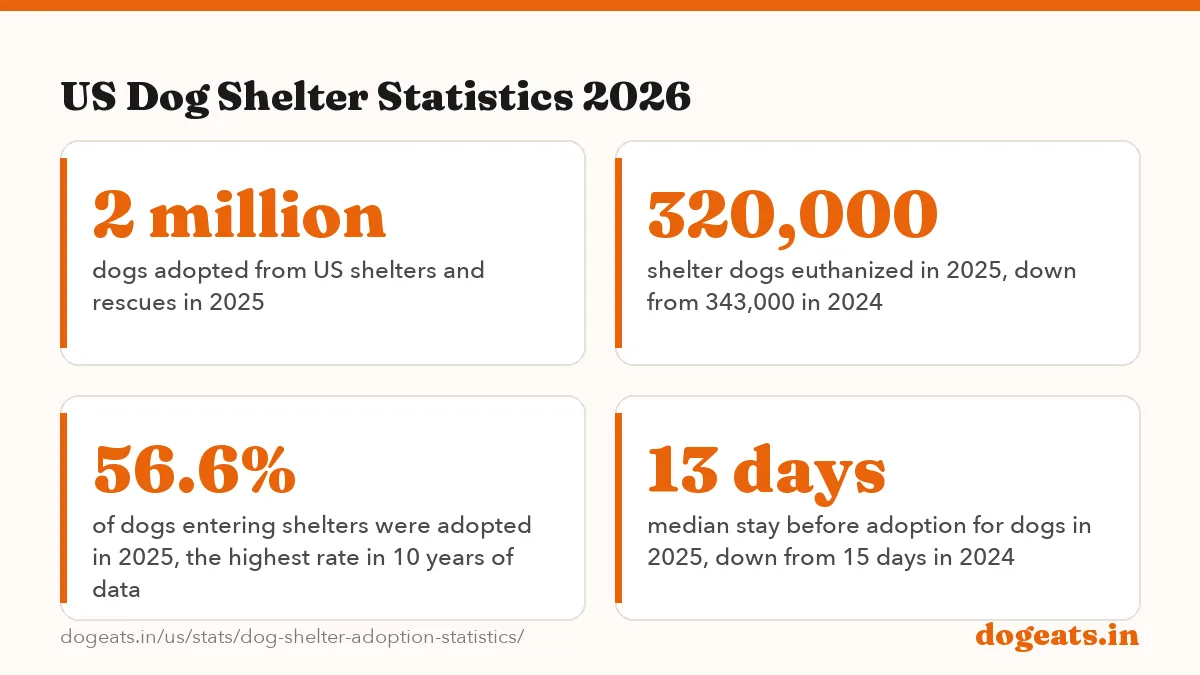 US Dog Shelter Statistics 2026: the numbers