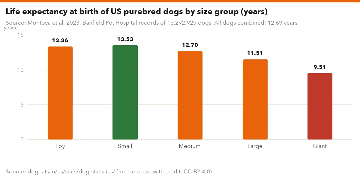 Life expectancy at birth of US purebred dogs by size group (years)