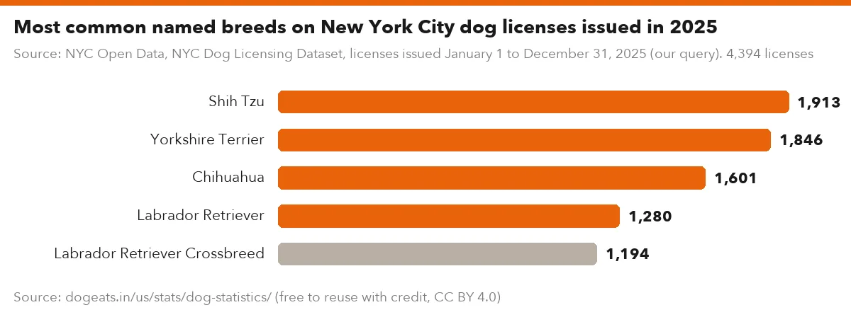 Most common named breeds on New York City dog licenses issued in 2025