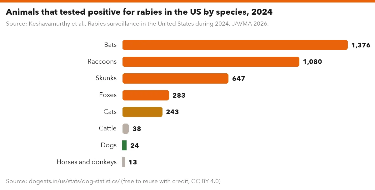 Animals that tested positive for rabies in the US by species, 2024