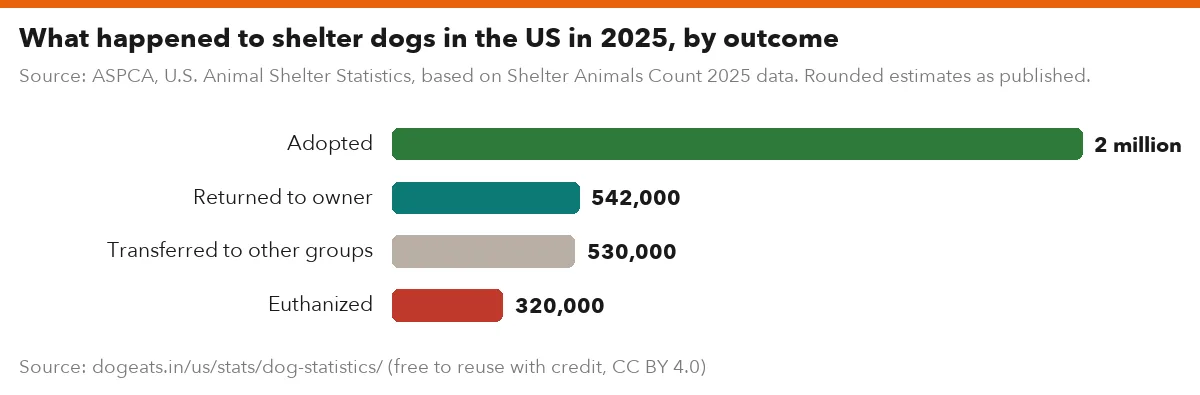 What happened to shelter dogs in the US in 2025, by outcome