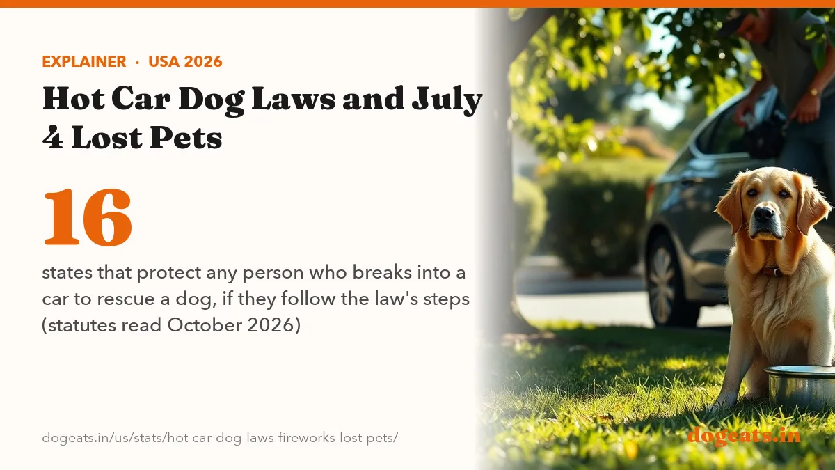 16 states that protect any person who breaks into a car to rescue a dog, if they follow the law's steps (statutes read October 2026)