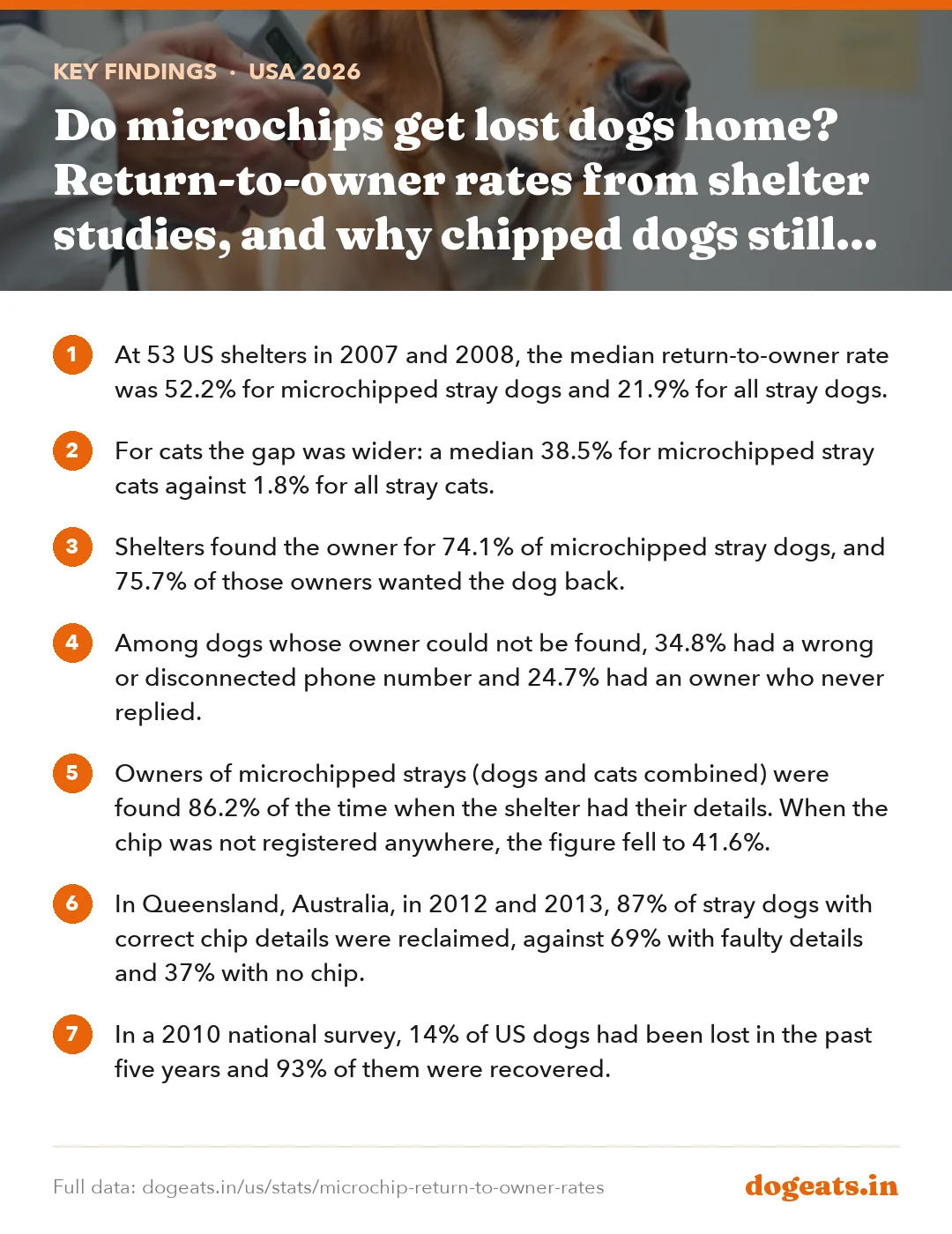 Key findings: Do microchips get lost dogs home? Return-to-owner rates from shelter studies, and why chipped dogs still go unclaimed