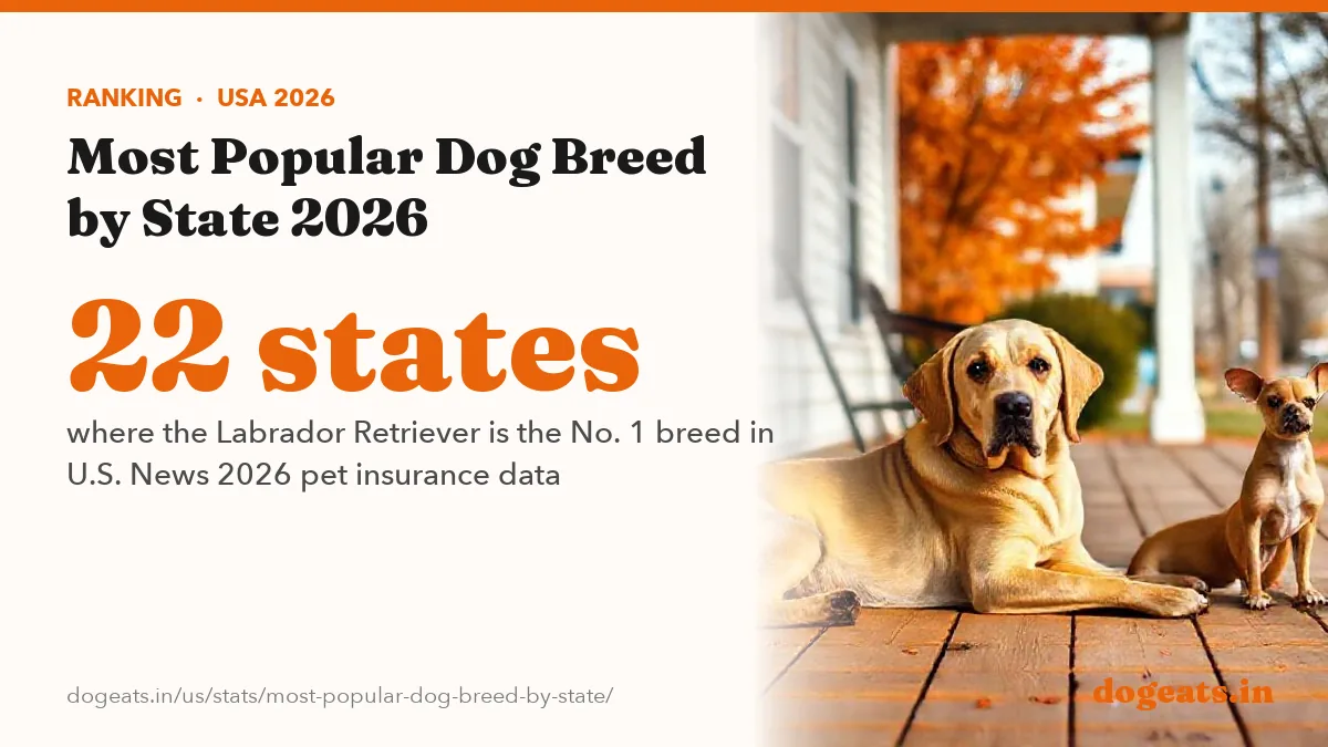 22 states where the Labrador Retriever is the No. 1 breed in U.S. News 2026 pet insurance data
