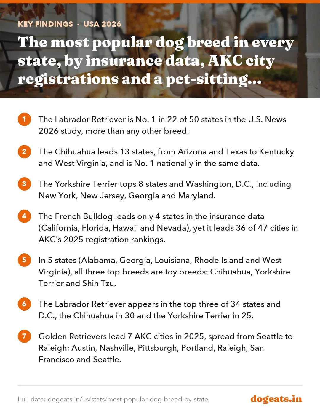 Key findings: The most popular dog breed in every state, by insurance data, AKC city registrations and a pet-sitting platform