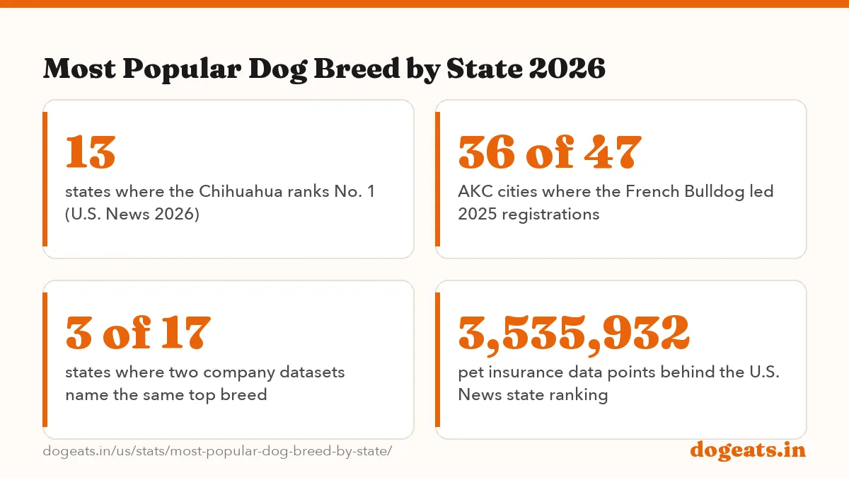 Most Popular Dog Breed by State 2026: the numbers