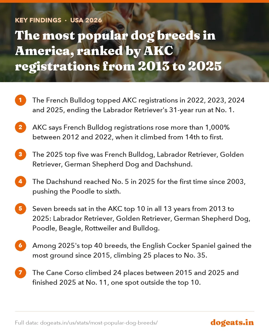 Key findings: The most popular dog breeds in America, ranked by AKC registrations from 2013 to 2025