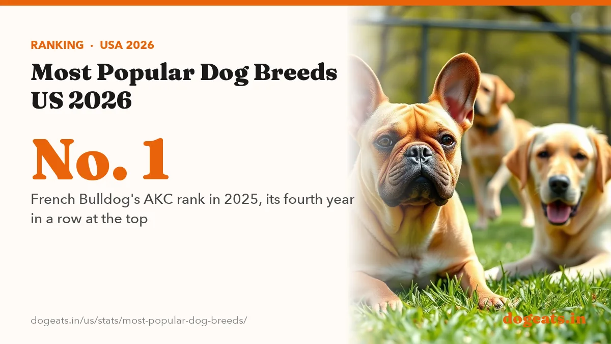 No. 1 French Bulldog's AKC rank in 2025, its fourth year in a row at the top