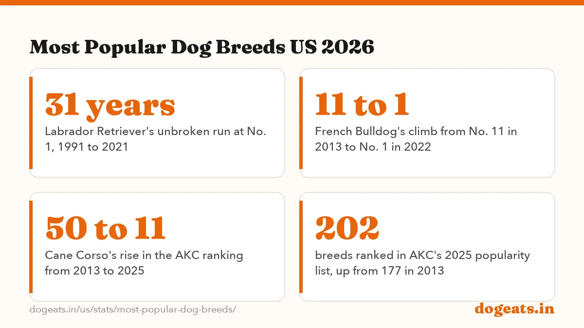 Most Popular Dog Breeds US 2026: the numbers
