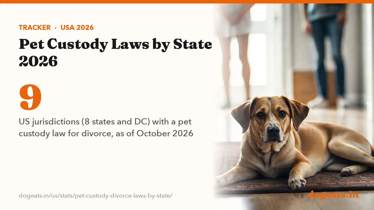 9 US jurisdictions (8 states and DC) with a pet custody law for divorce, as of October 2026