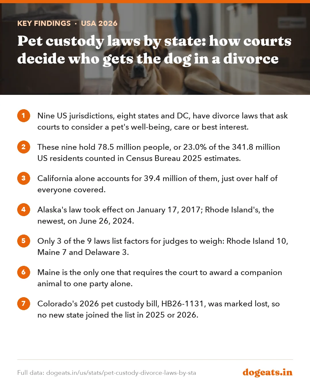 Key findings: Pet custody laws by state: how courts decide who gets the dog in a divorce