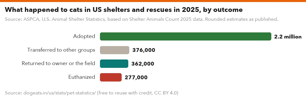 What happened to cats in US shelters and rescues in 2025, by outcome