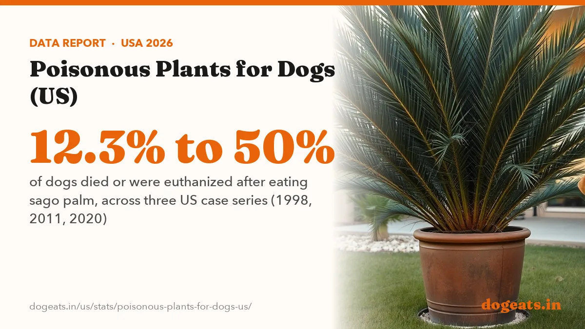 12.3% to 50% of dogs died or were euthanized after eating sago palm, across three US case series (1998, 2011, 2020)