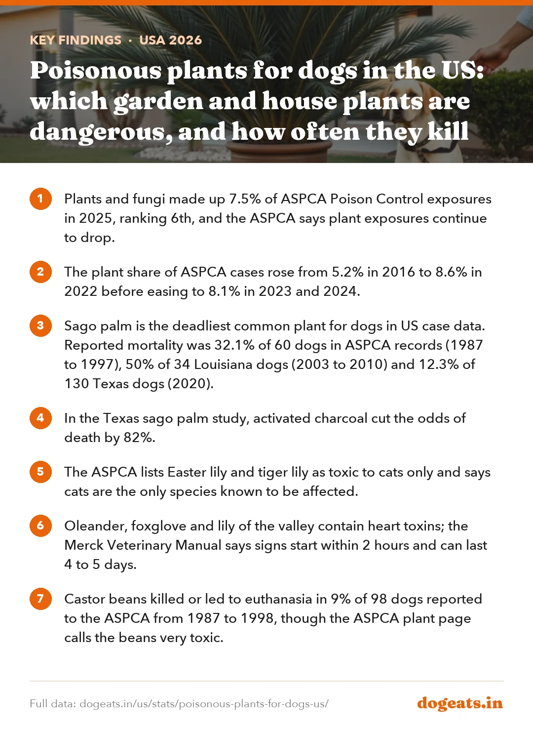 Key findings: Poisonous plants for dogs in the US: which garden and house plants are dangerous, and how often they kill