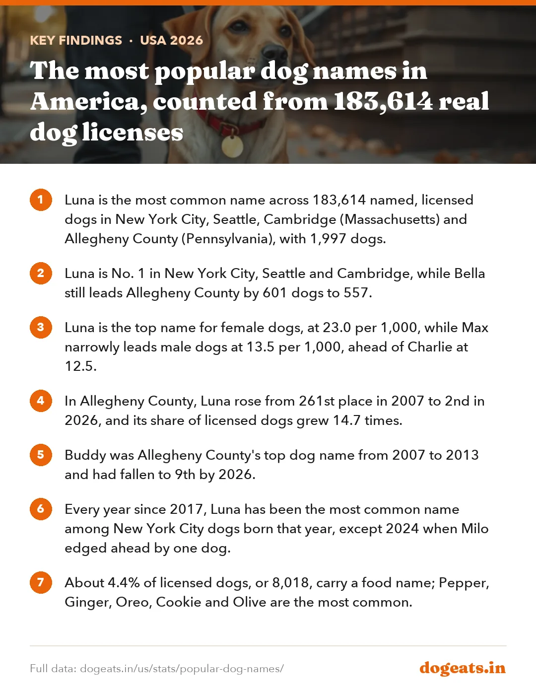 Key findings: The most popular dog names in America, counted from 183,614 real dog licenses