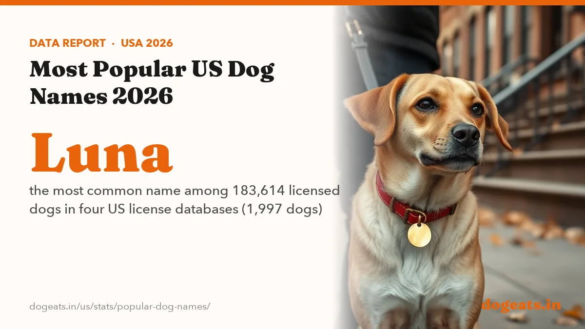 Luna the most common name among 183,614 licensed dogs in four US license databases (1,997 dogs)