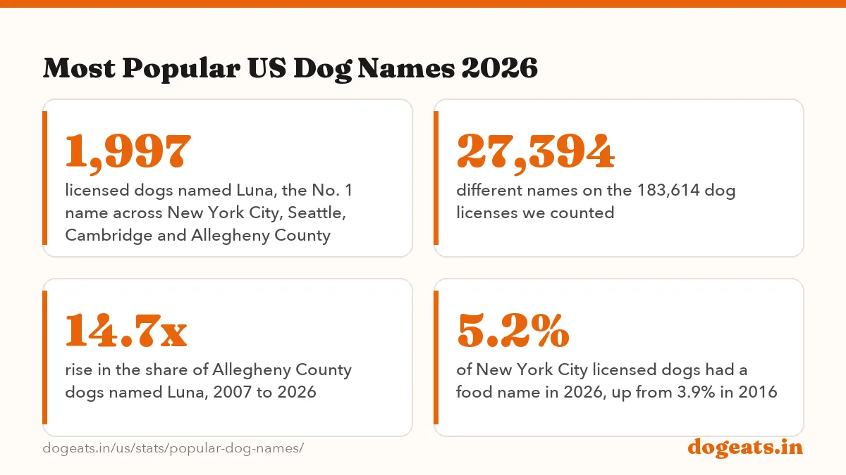 Most Popular US Dog Names 2026: the numbers