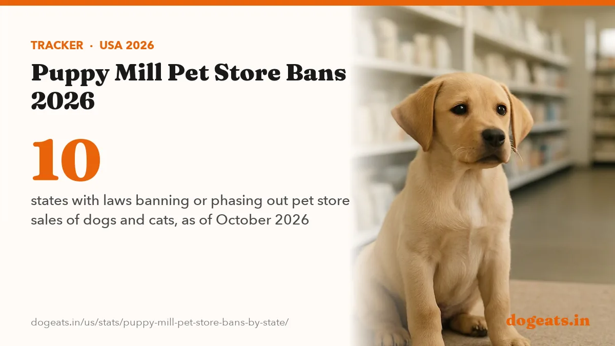10 states with laws banning or phasing out pet store sales of dogs and cats, as of October 2026