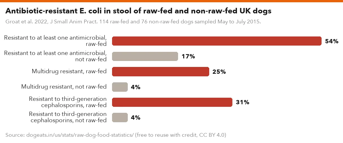 Antibiotic-resistant E. coli in stool of raw-fed and non-raw-fed UK dogs