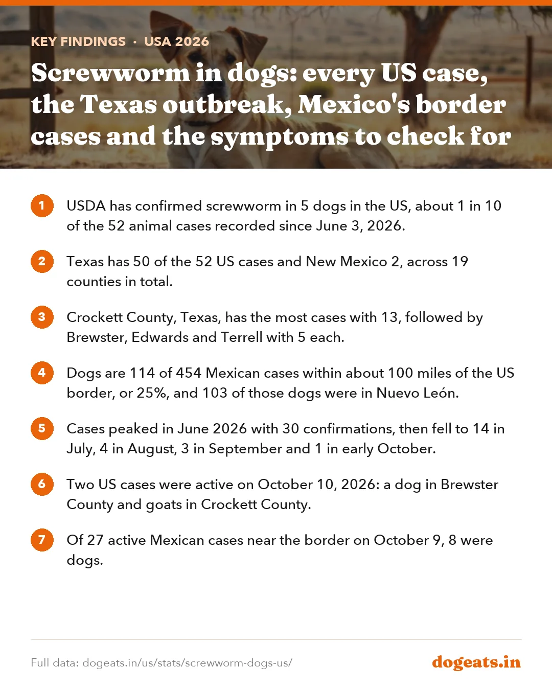 Key findings: Screwworm in dogs: every US case, the Texas outbreak, Mexico's border cases and the symptoms to check for