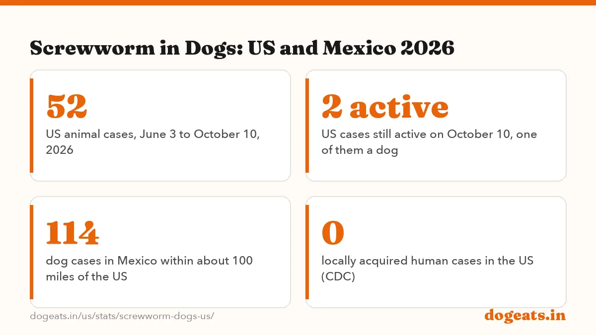 Screwworm in Dogs: US and Mexico 2026: the numbers