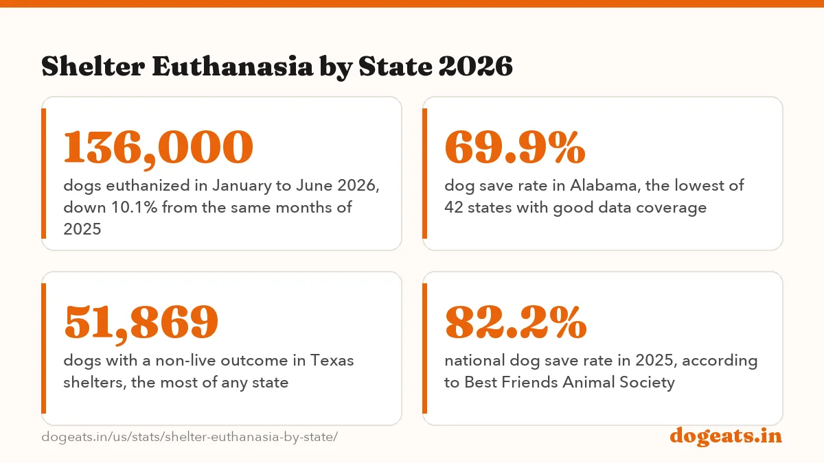 Shelter Euthanasia by State 2026: the numbers