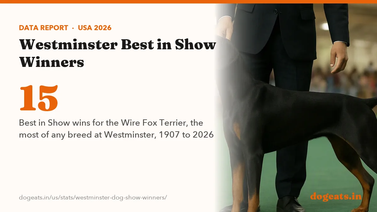 15 Best in Show wins for the Wire Fox Terrier, the most of any breed at Westminster, 1907 to 2026