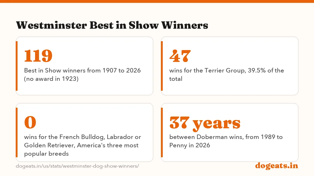Westminster Best in Show Winners: 15 Best in Show wins for the Wire Fox Terrier, the most of any breed at Westminster,